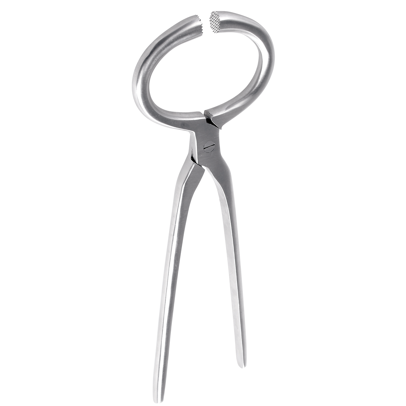 Hufuntersuchungszange