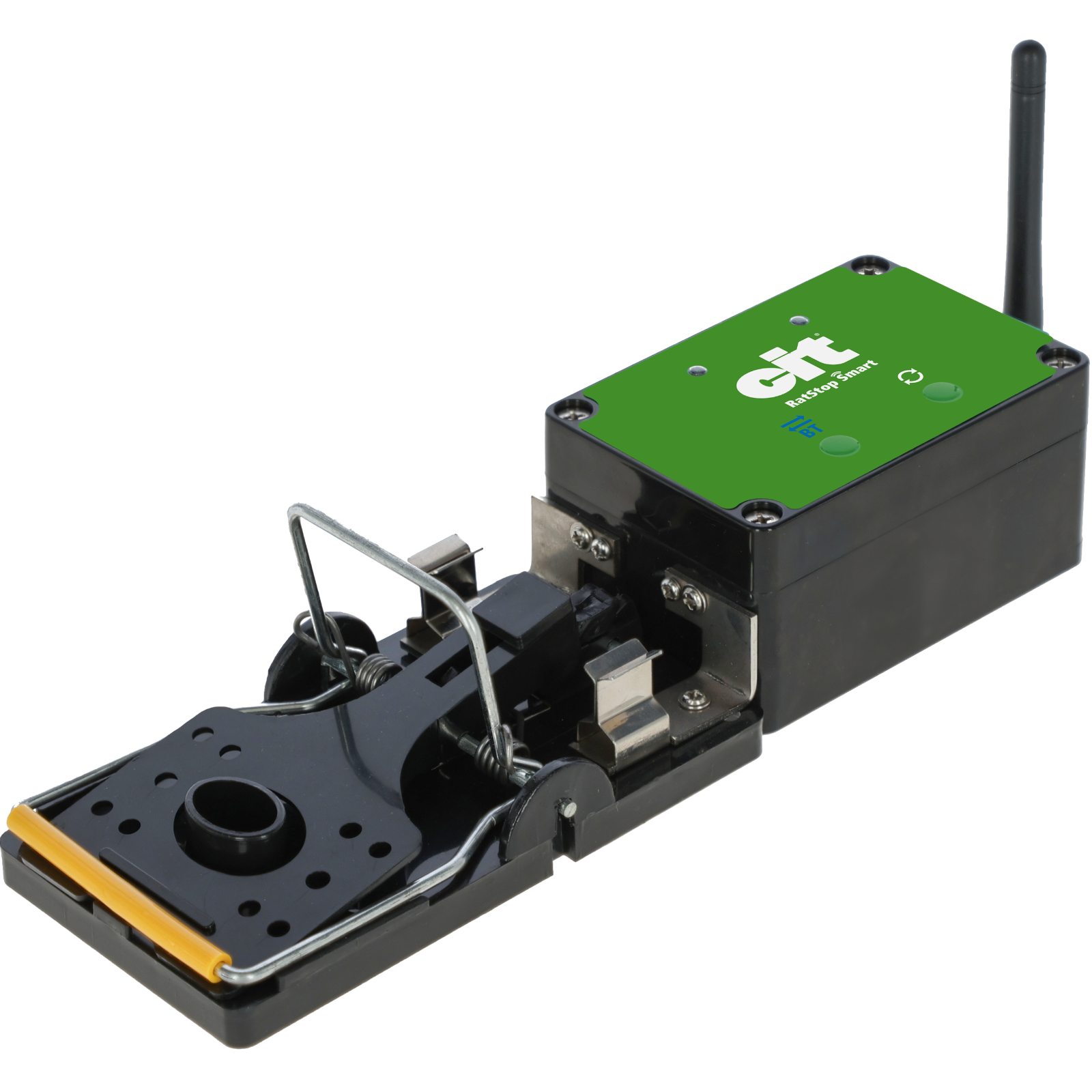 Rattenfalle Smart RatStop