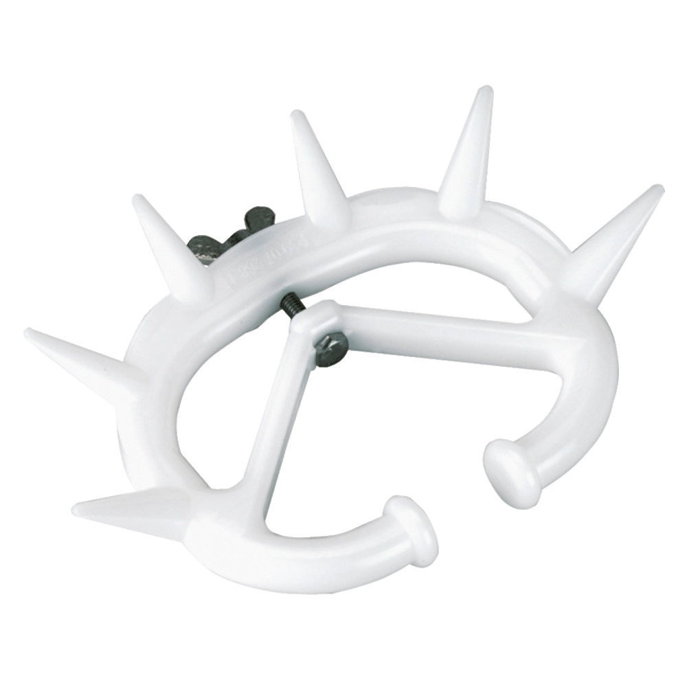 Vitelli Müller e giovani bovini svezzati