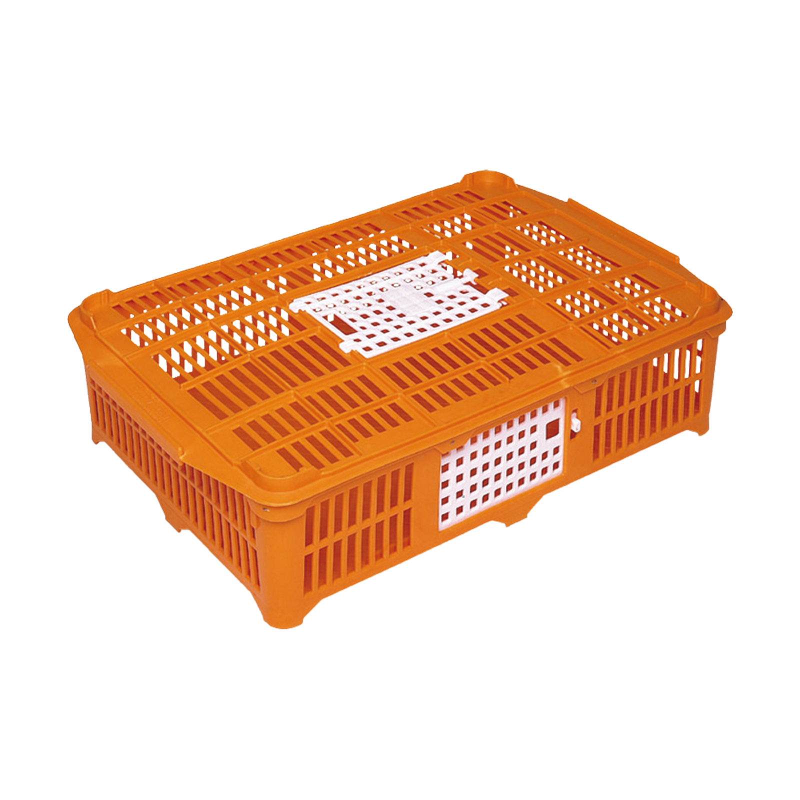 Kleingeflügel-Transportbox