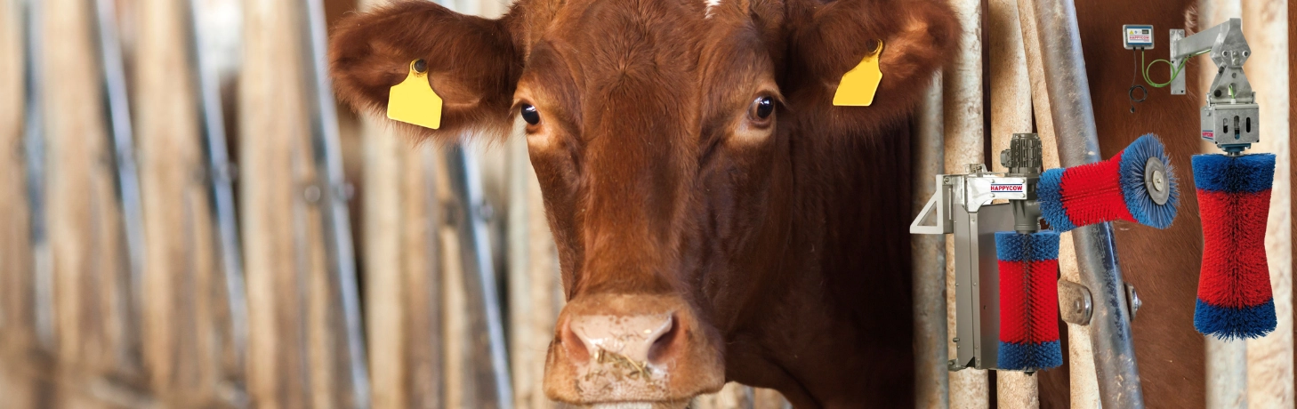 Sorge für das Wohl Deiner Tiere!