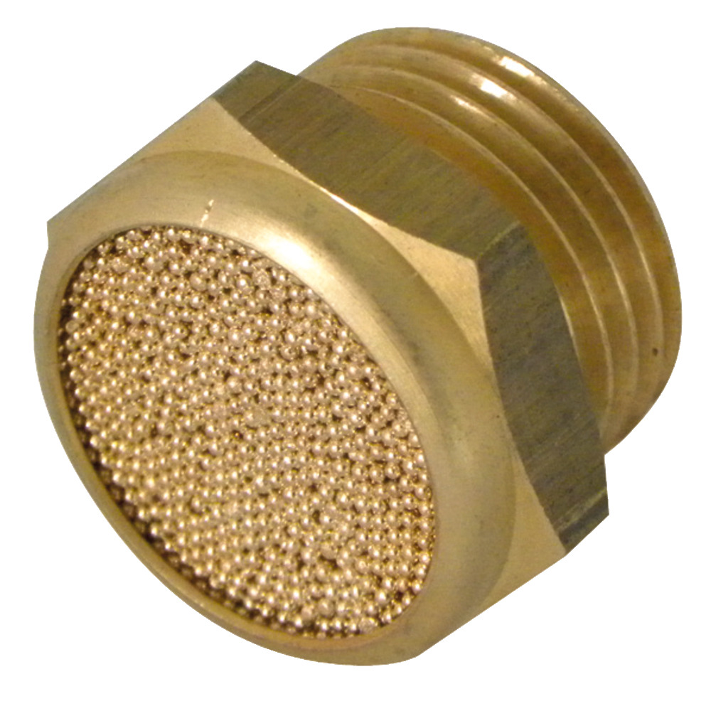 Bleed screw