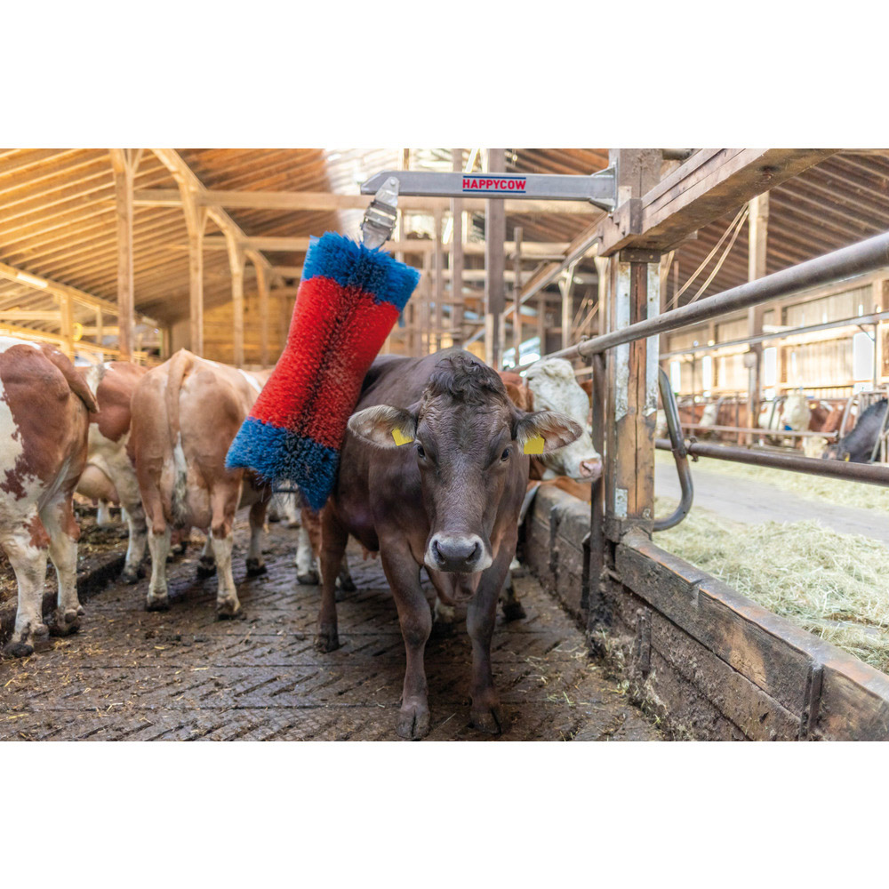 Viehbürste HappyCow Free Maxi
