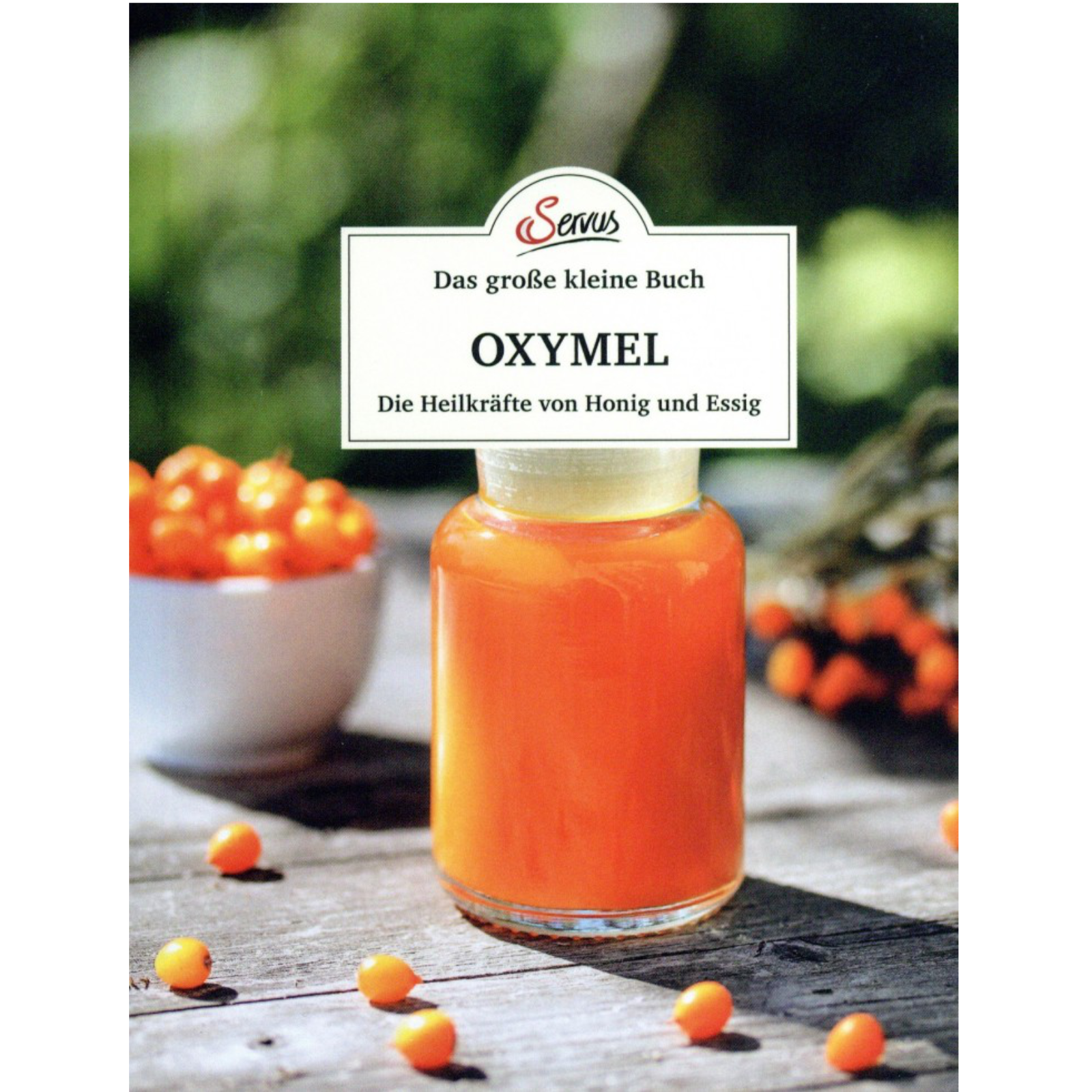 Das große kleine Buch: Oxymel