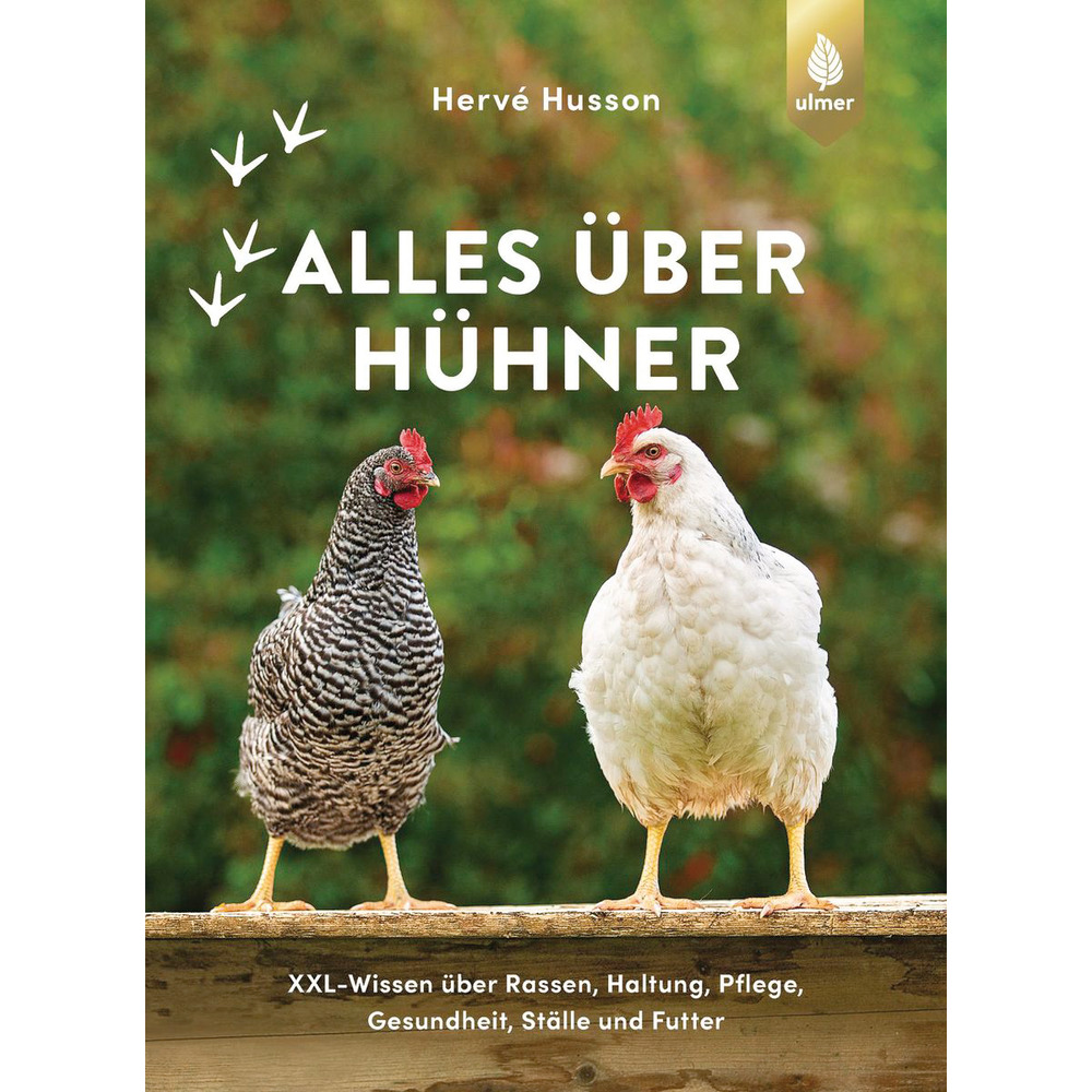 Tout sur les poules Connaissance XXL