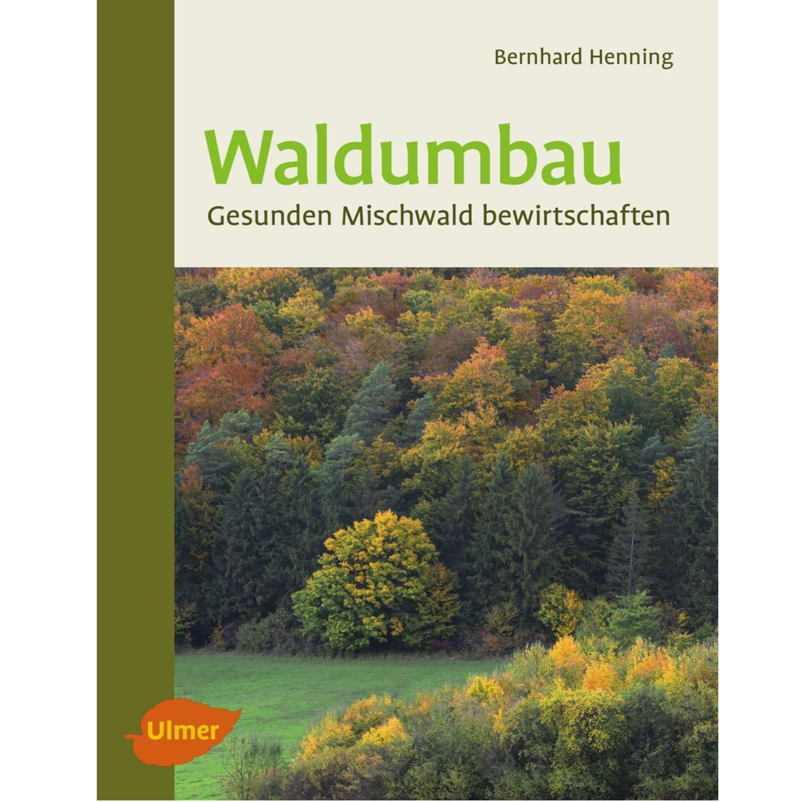Waldumbau Gesunden Mischwald bewirtschaften