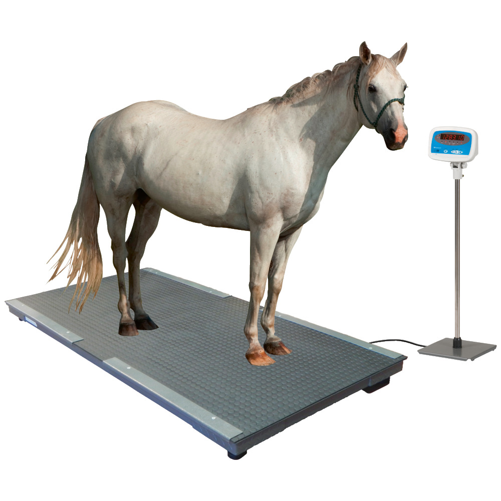 Balance pour animaux PS 3000