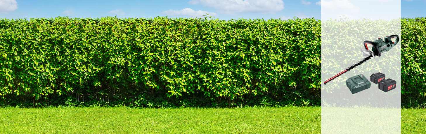 Cordless hedge trimmers promotion weeks