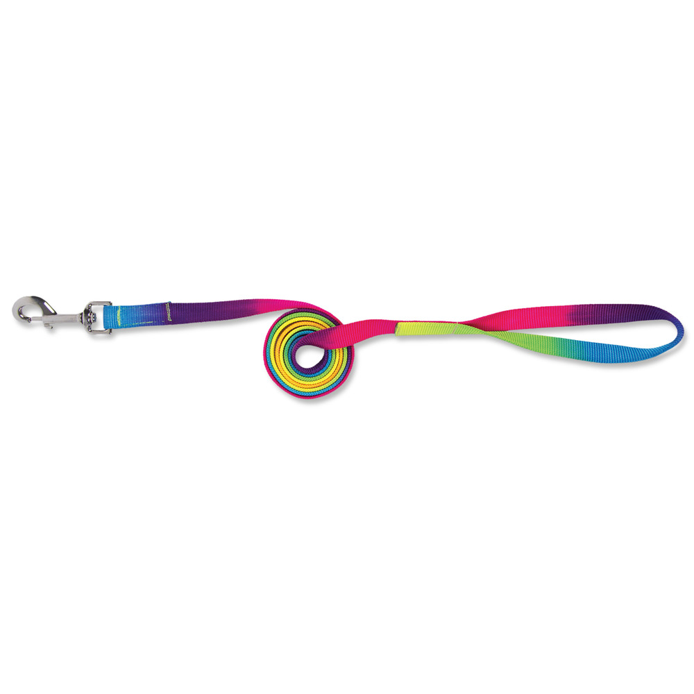 Führstrick Regenbogen-FA97874