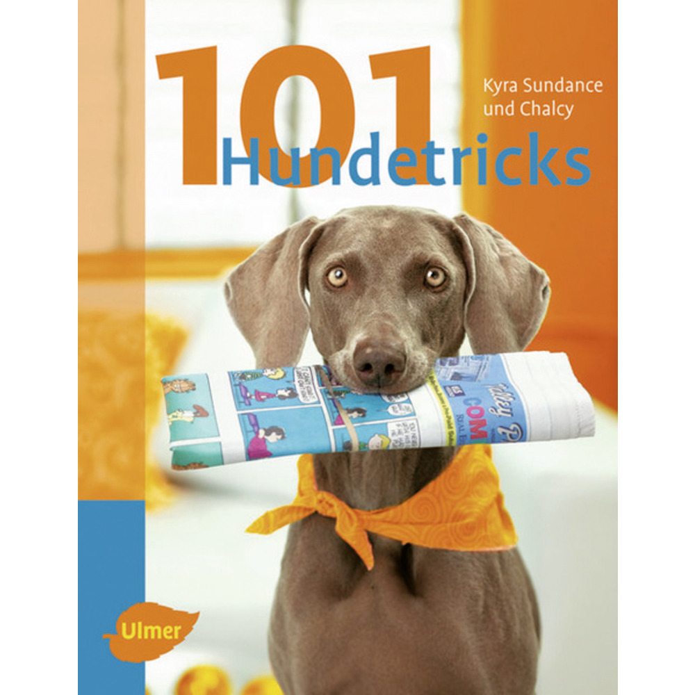 101 Hundetricks