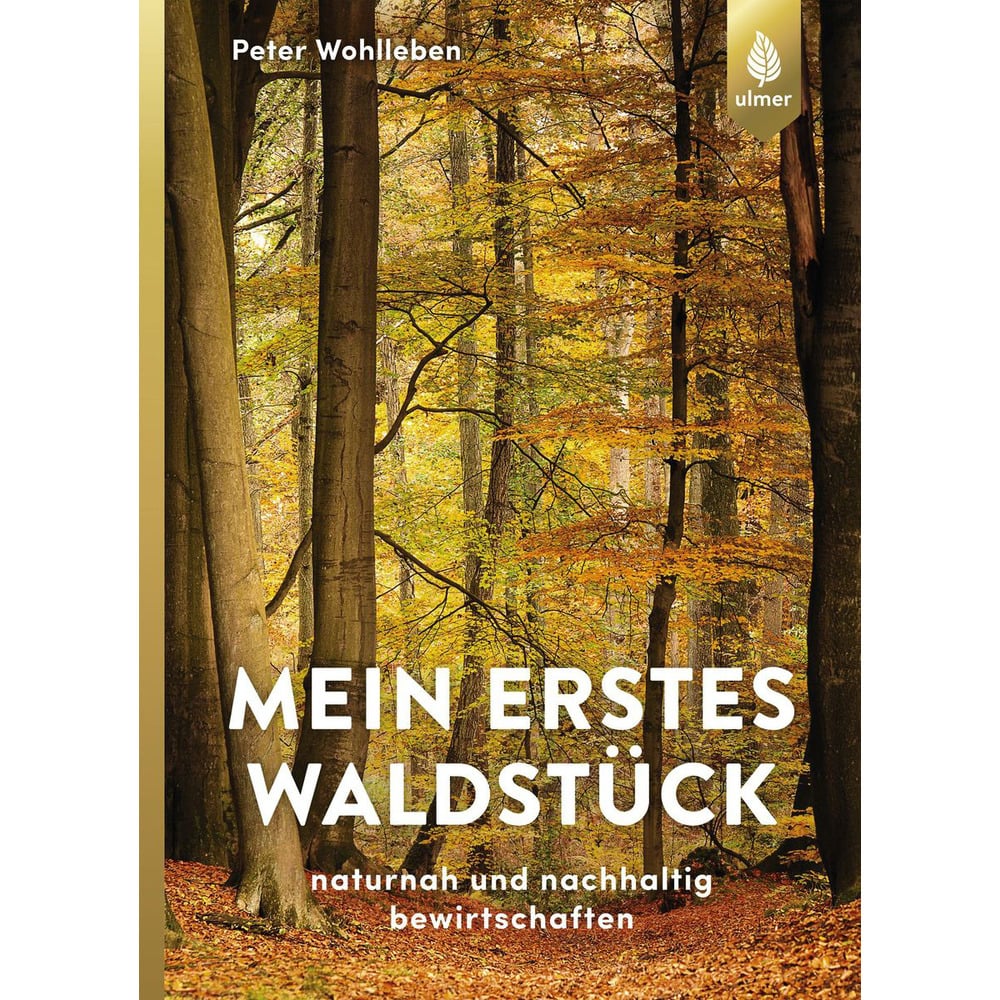 Mein erstes Waldstück naturnah und nachhaltig bewirtschaften