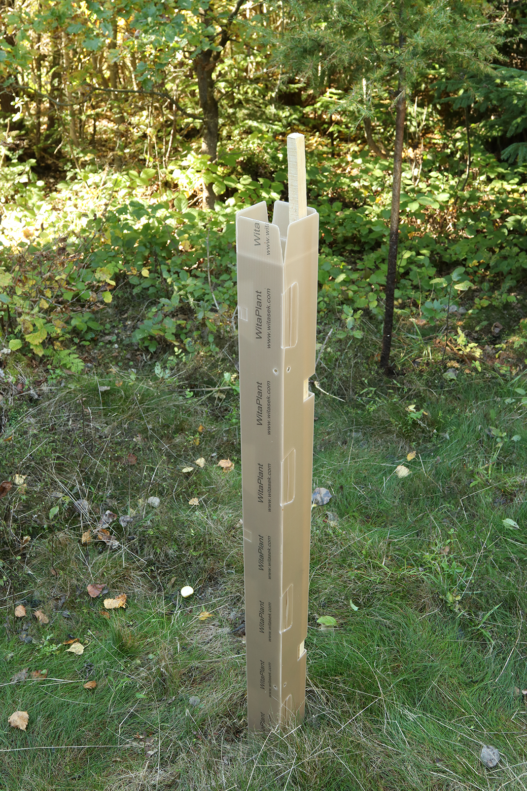 Baumschutzsäule MV Laubholz-FA77821