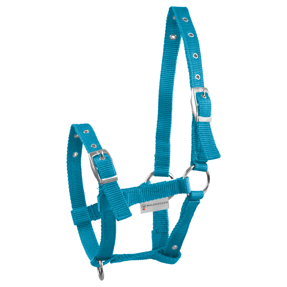 Fohlenhalfter-FA100545