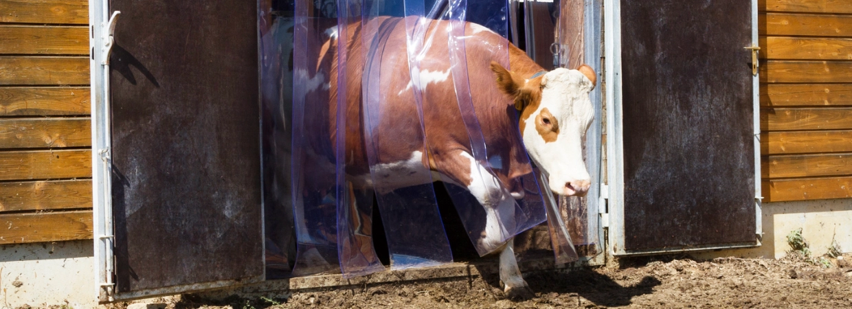 Schutz vor Kälte und Zugluft im Stall!