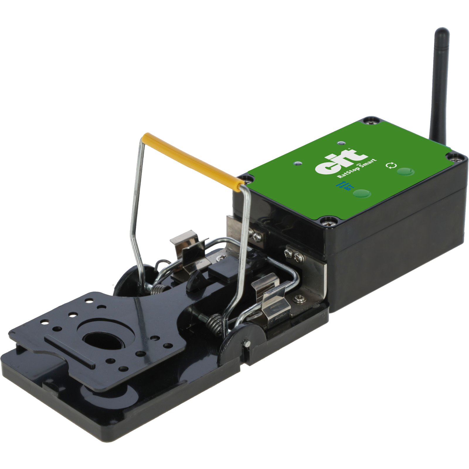 Rattenfalle Smart RatStop