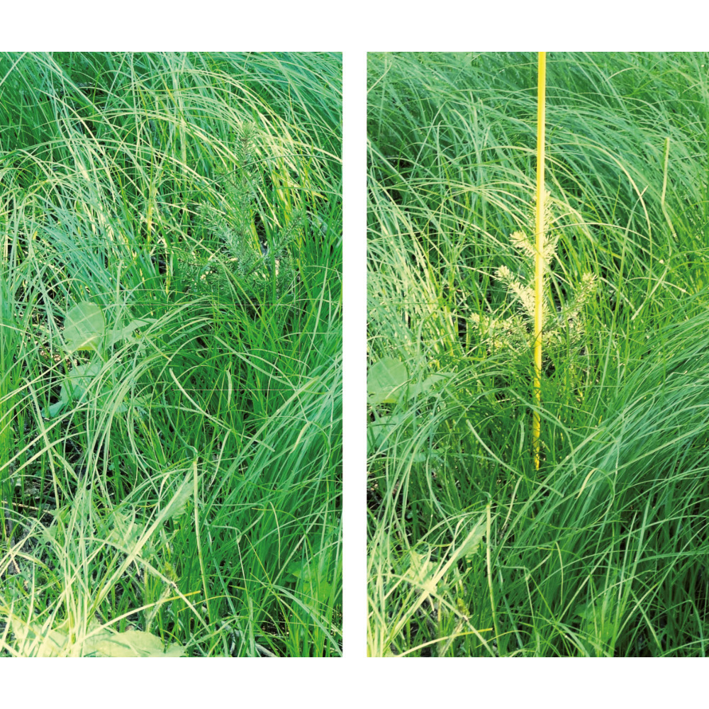 Markierstab Vinotto® Fiberglas 7 mm x 130 cm gelb