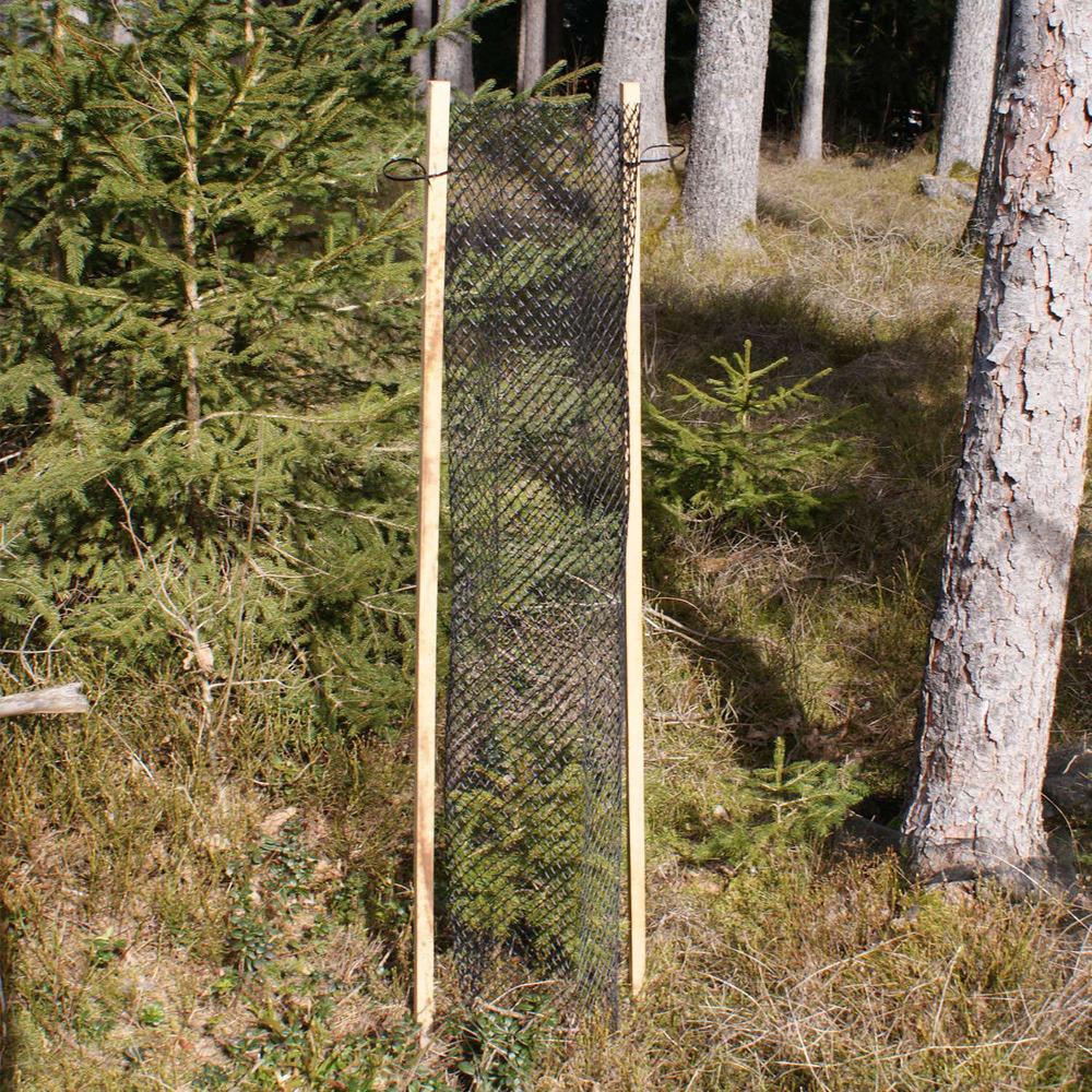 Akazienpfahl / Akazienstab / Pflanzstab