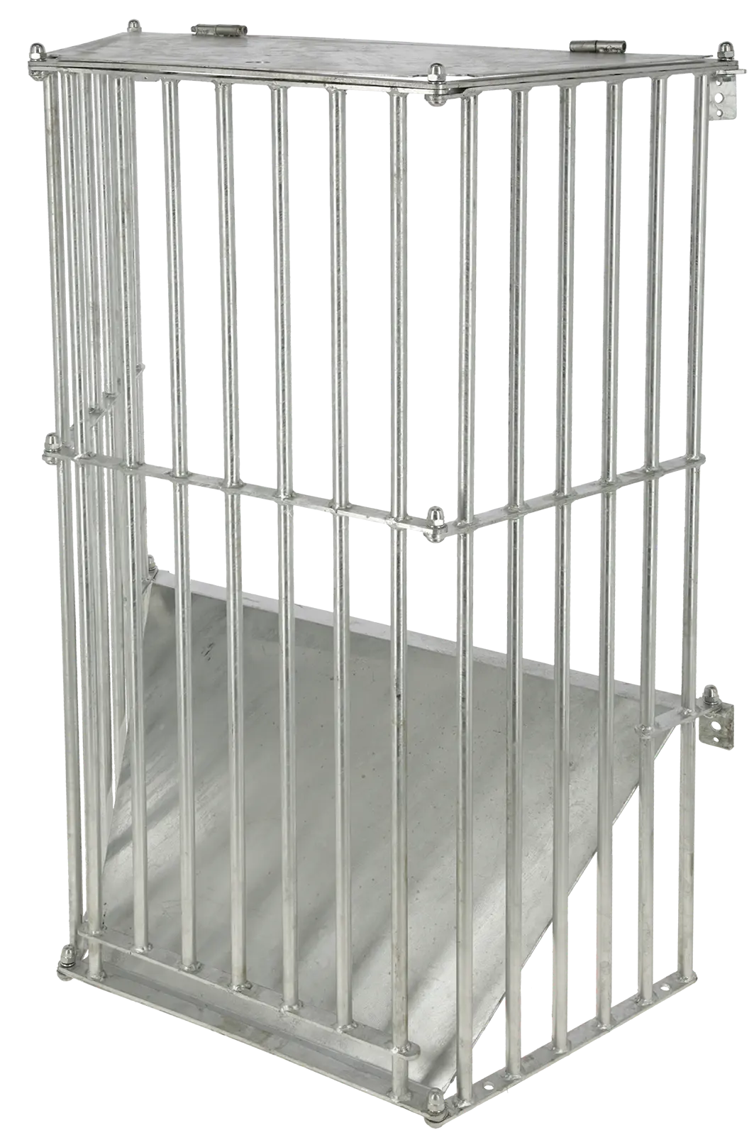 Wandraufe SlowFeed Plus