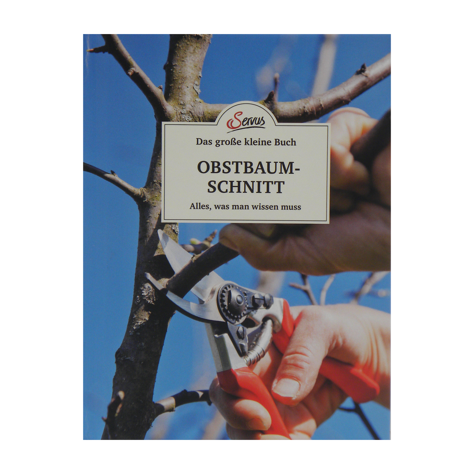 Obstbaumschnitt
