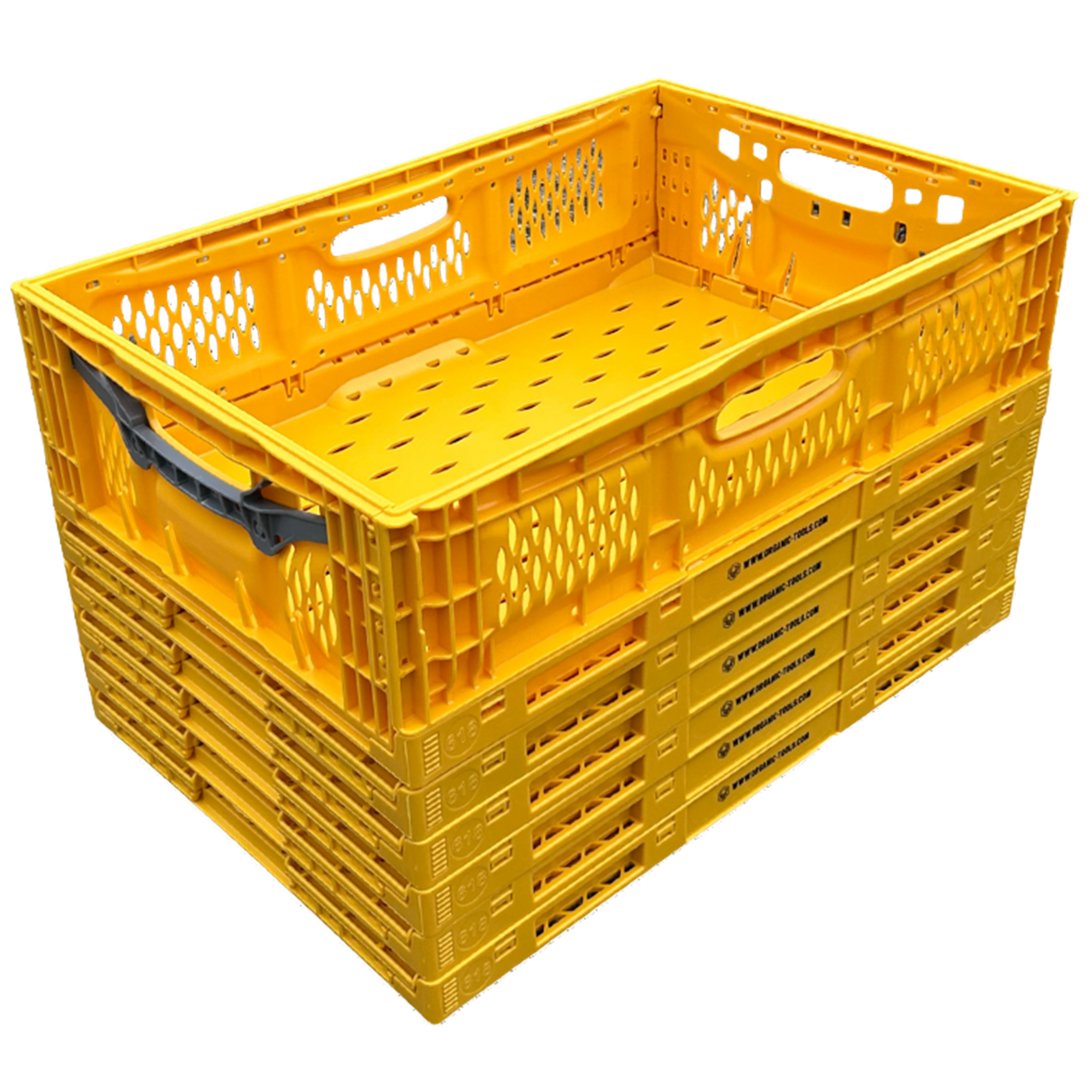 Obstkisten klappbar