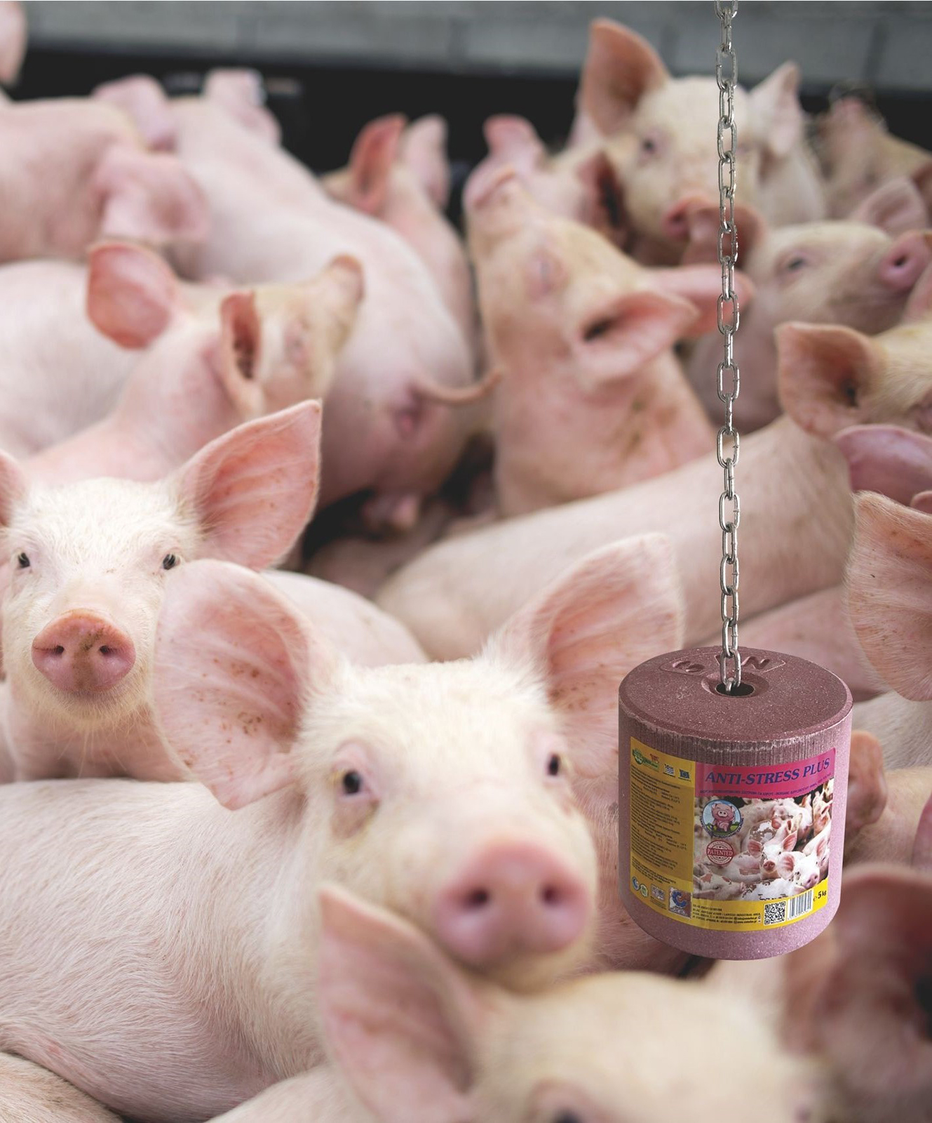 Schweine-Leckstein Anti-Stress+ 5 kg