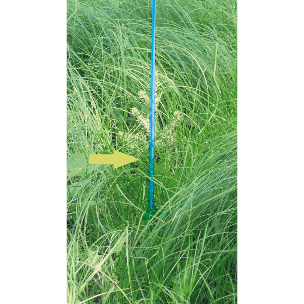 Markierstab Vinotto® Fiberglas 7 mm x 130 cm blau