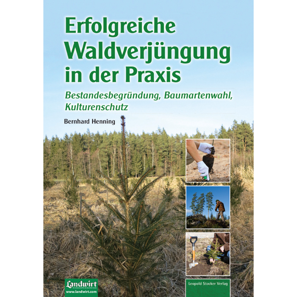 Successful forest regeneration in practice