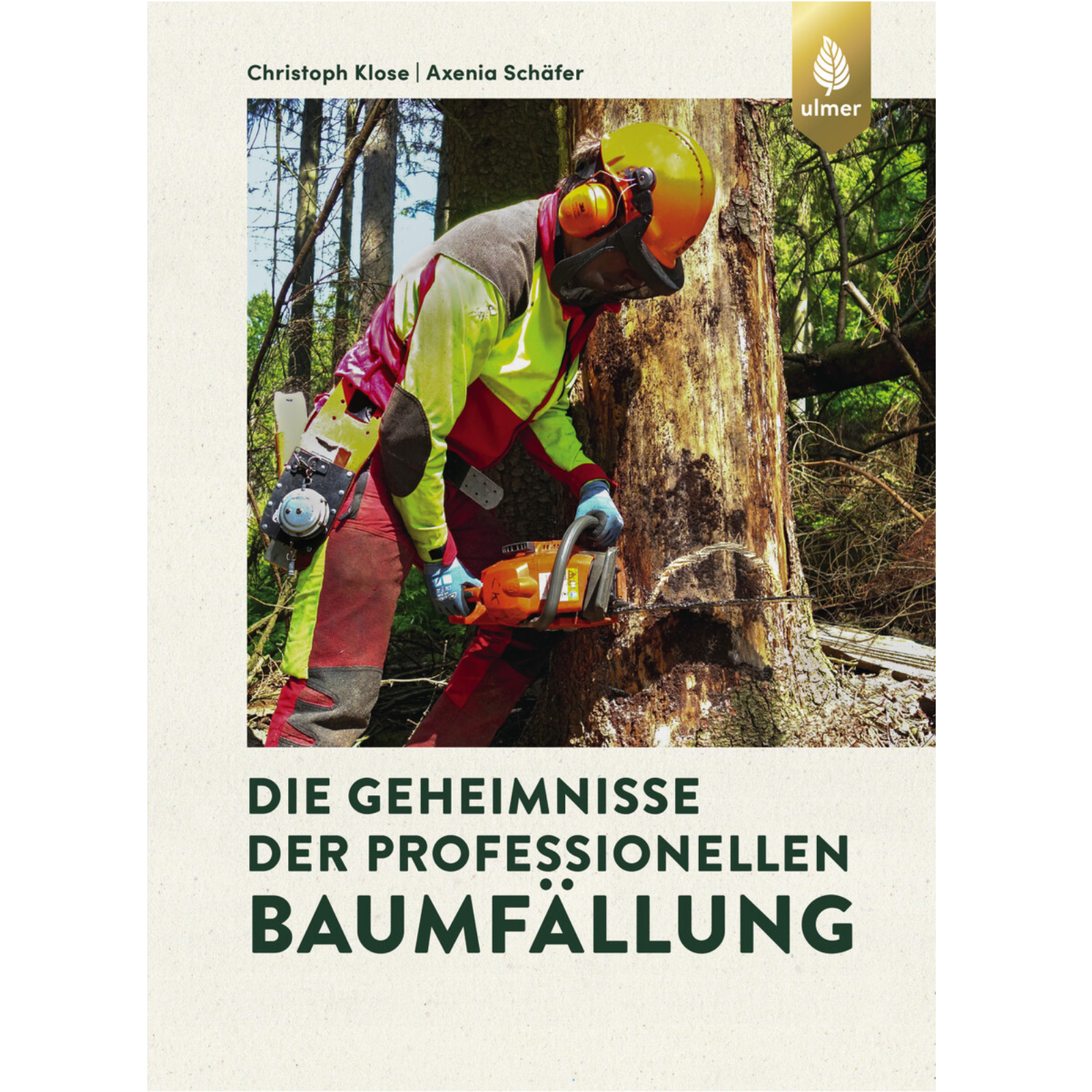 Die Geheimnisse der professionellen Baumfällung