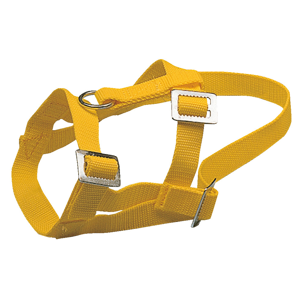 Kopfhalfter aus Nylon