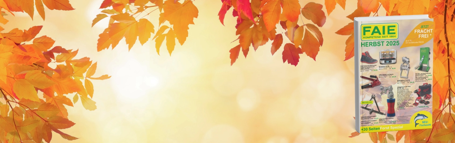 Der FAIE Herbstkatalog 2025 ist da!