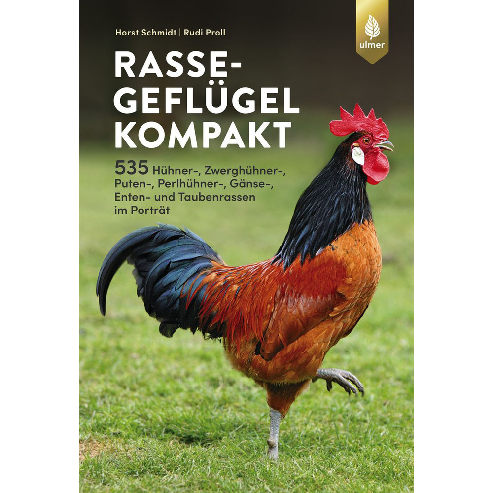 Rassegeflügel kompakt
