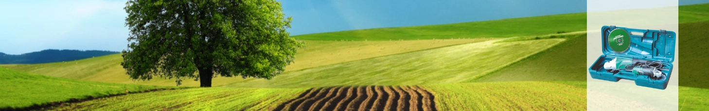 Offerta della settimana