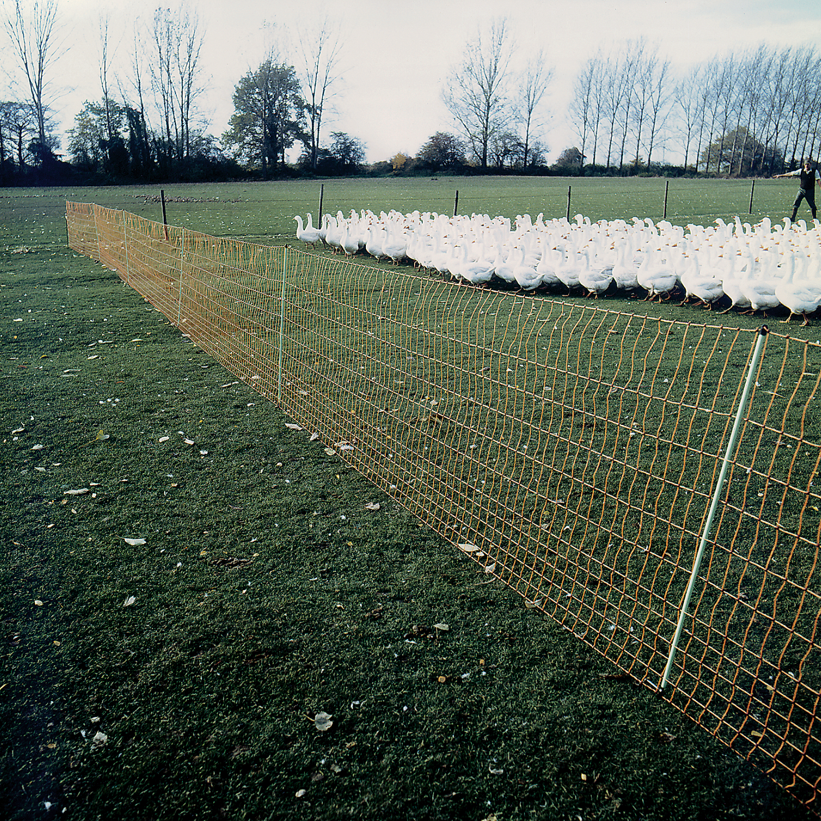 Geflügelnetz elektrifizierbar extra hoch 170 cm 25 m lang