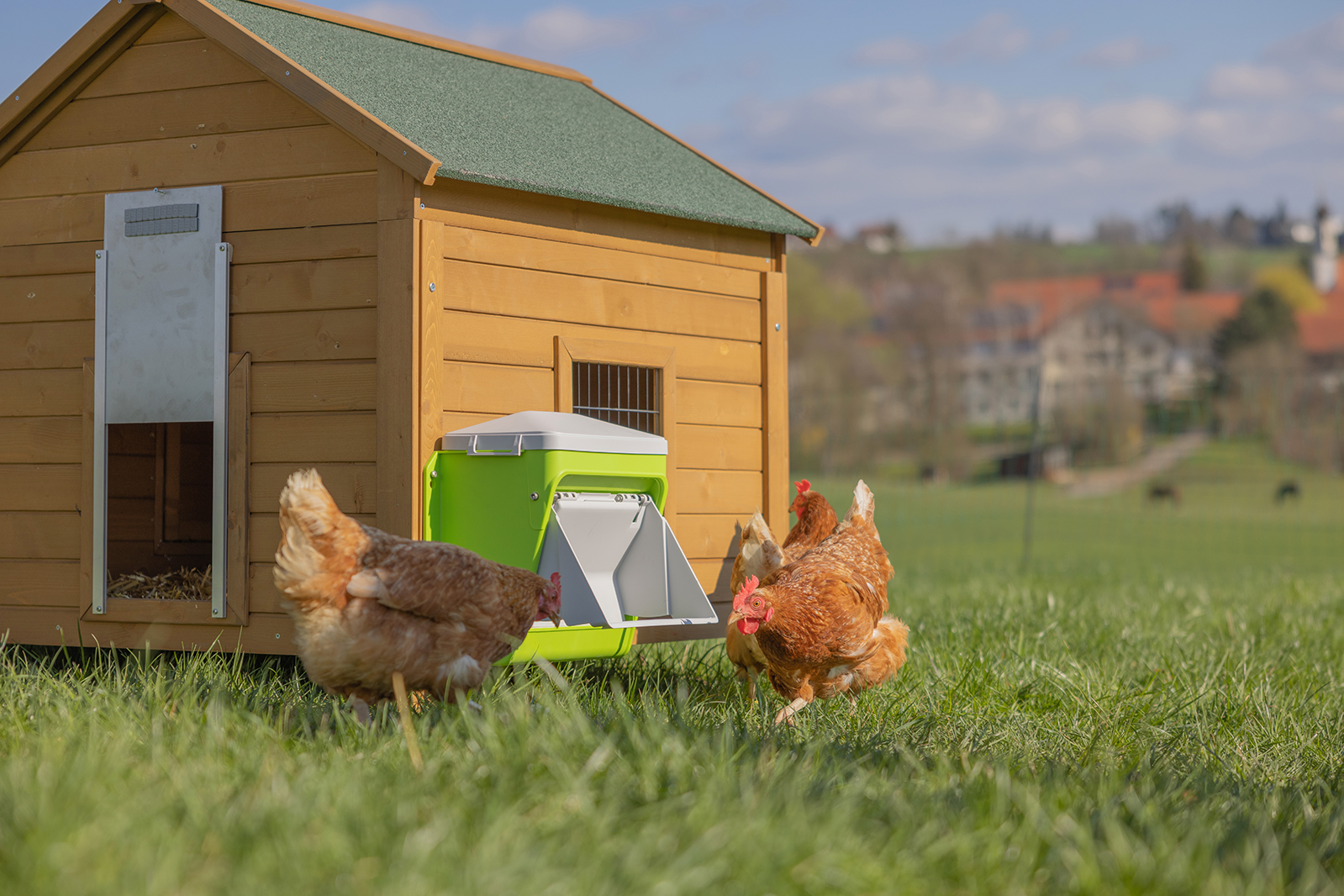 Futterautomat SmartCoop