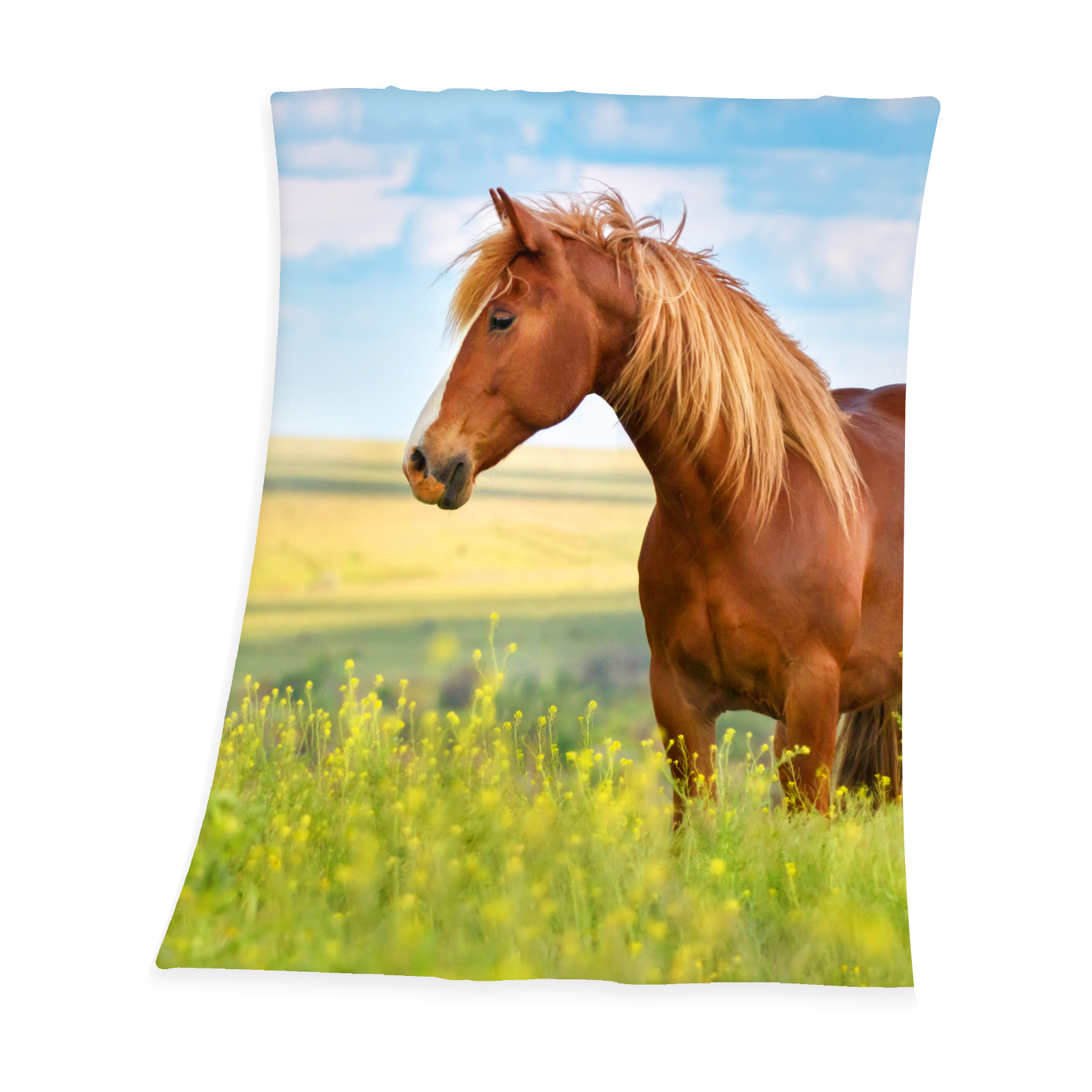 Fleecedecke Pferd 130/160 cm
