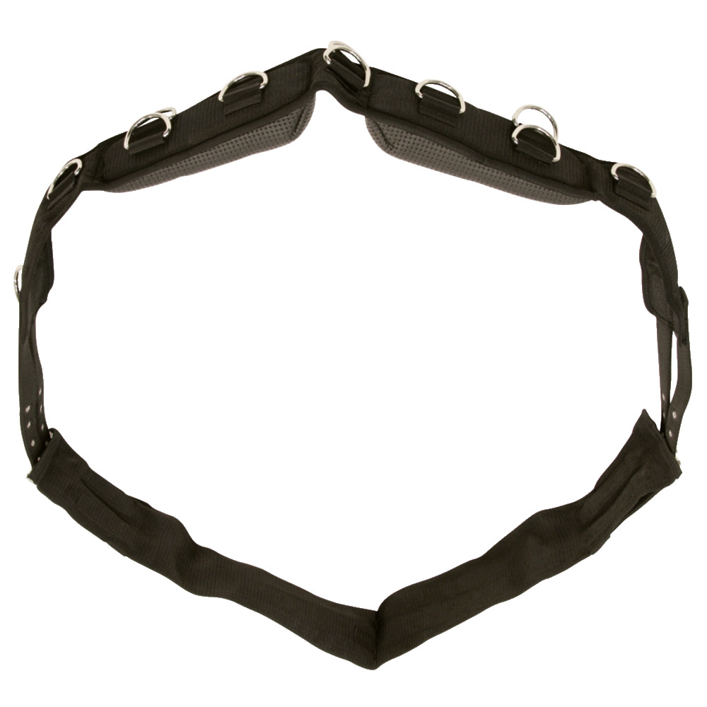 Longiergurt Nylon