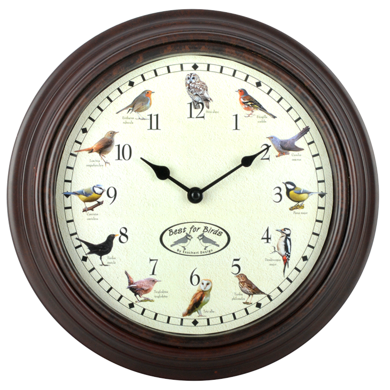 Uhr mit Vogelrufen