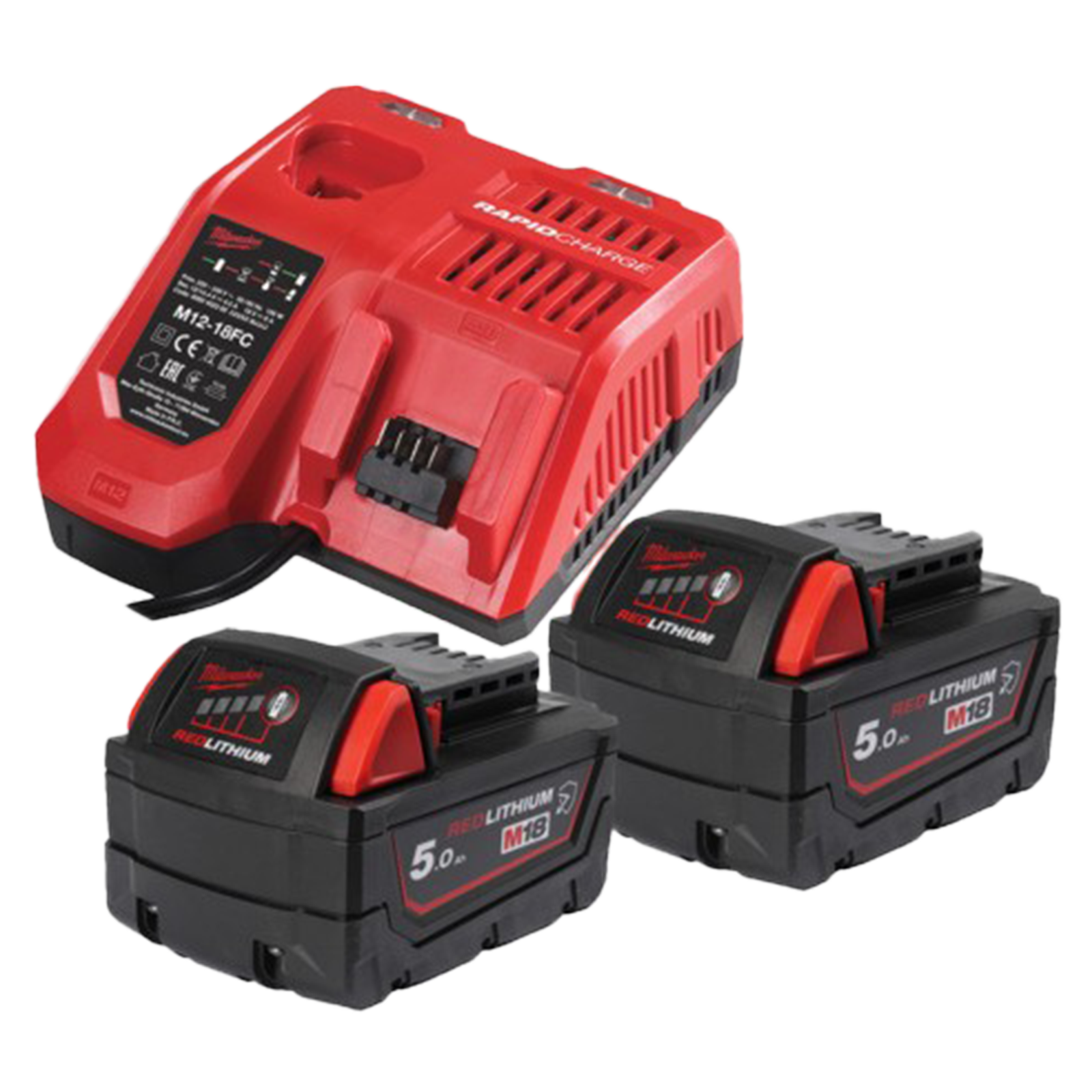  Akku-Starterset mit 2 Akkus und inkl. Ladegerät 