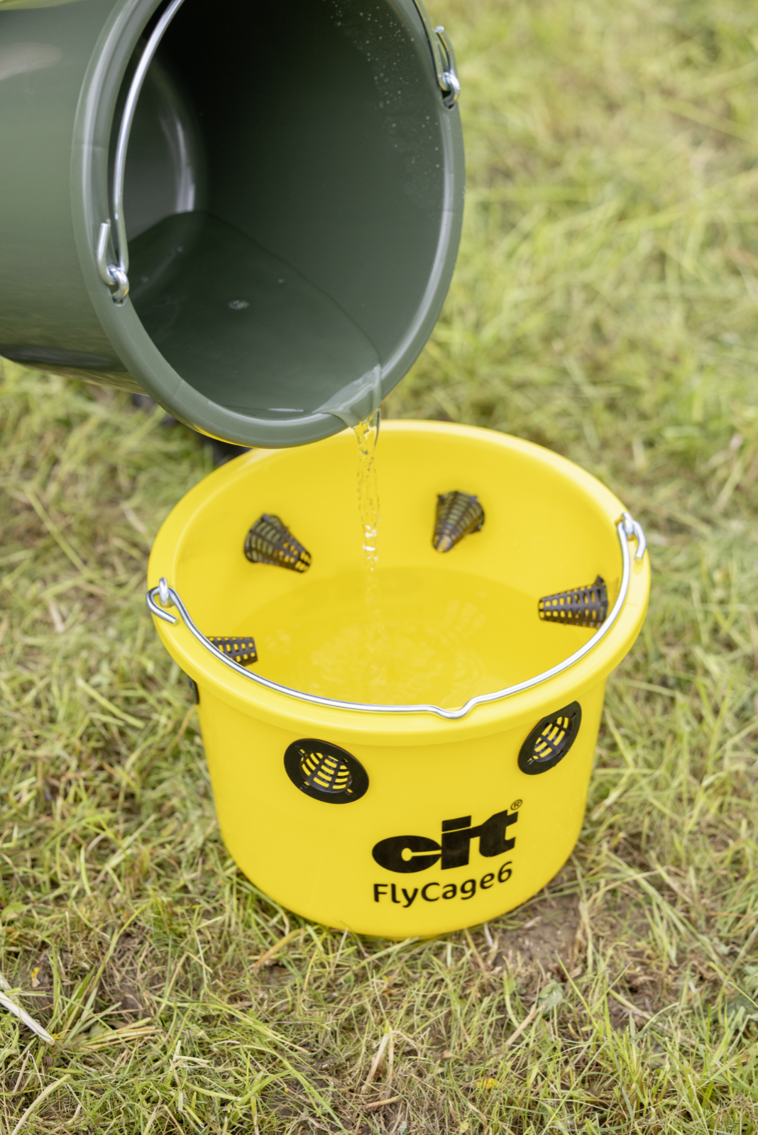 Fliegenfalle FlyCage6*