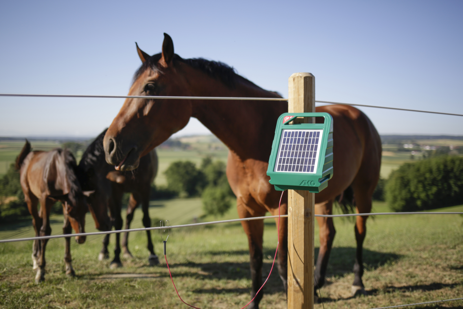Weidezaungerät Solar Sun Power S250