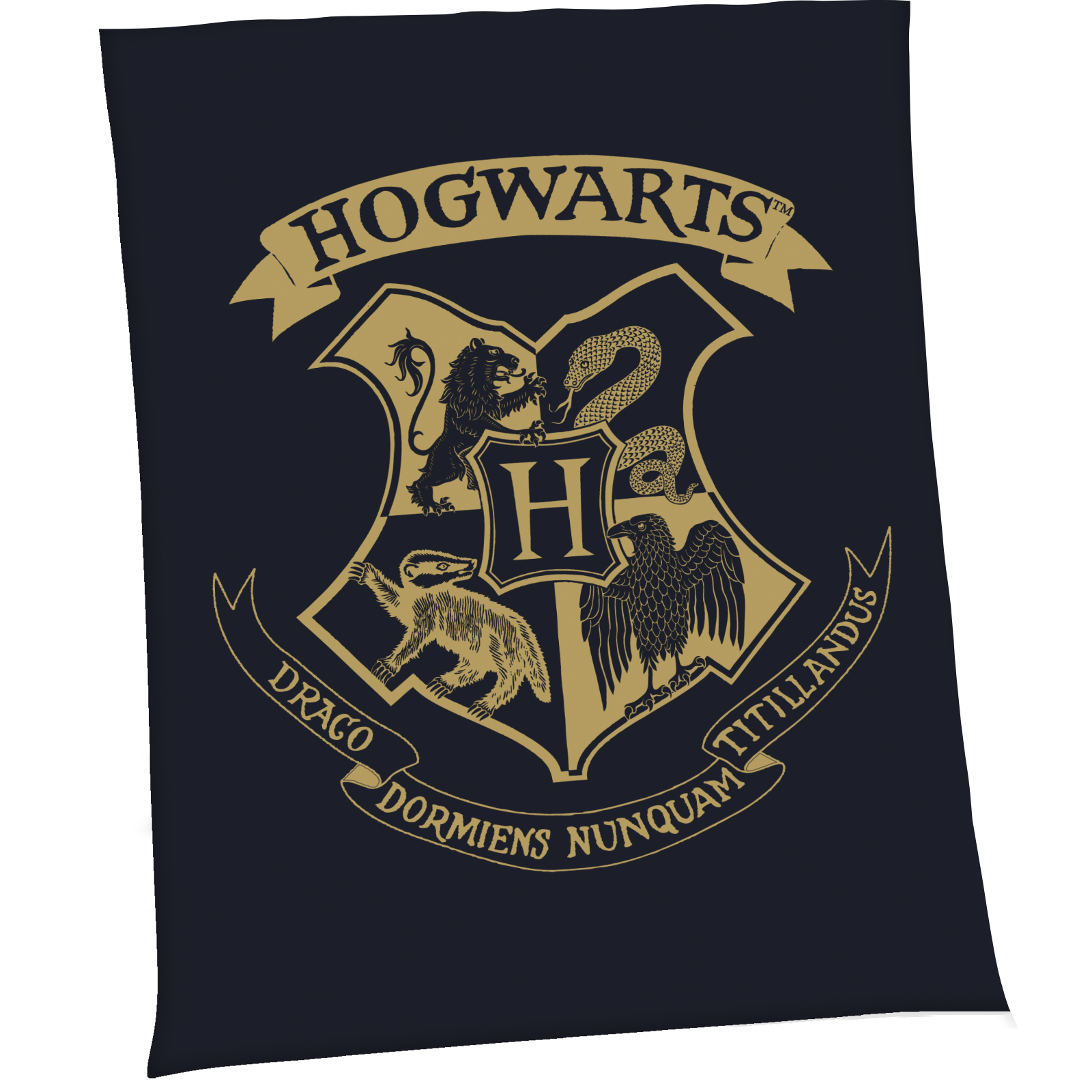 Kuscheldecke Harry Potter Soft schwarz