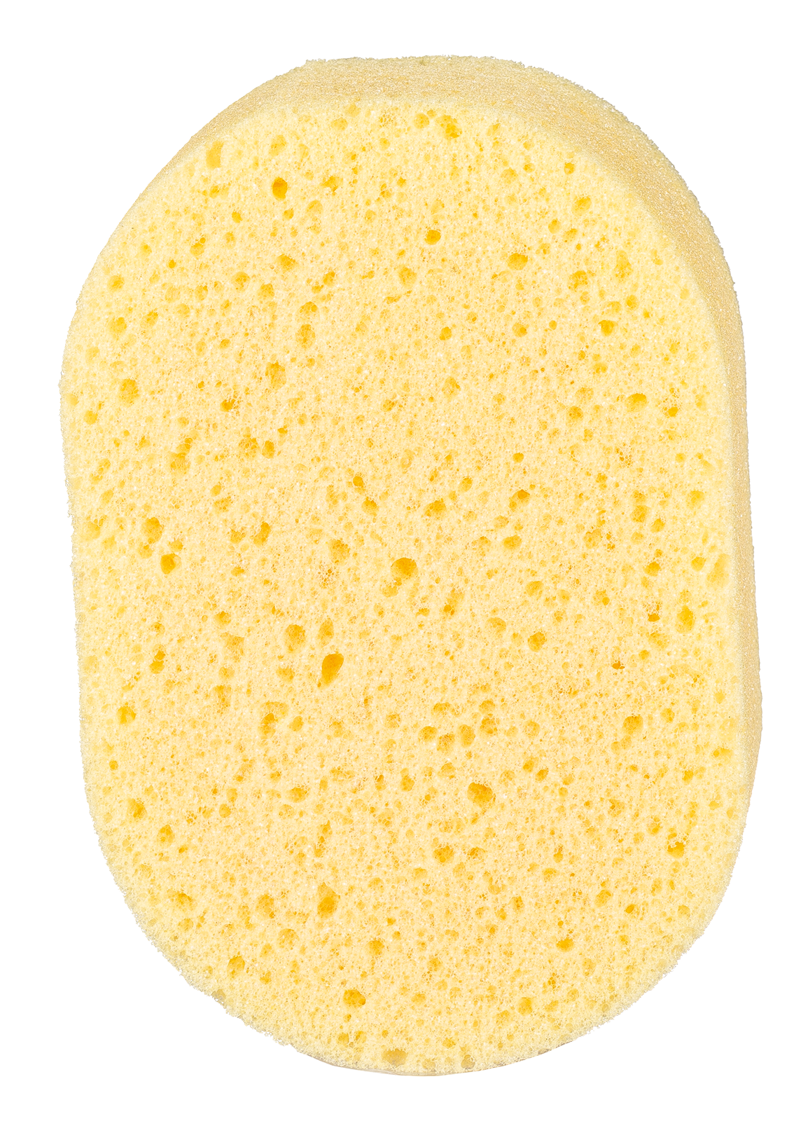 Coatingschwamm