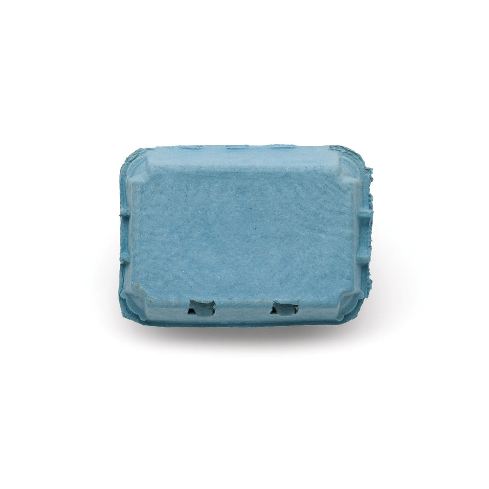6er Eierschachtel blau