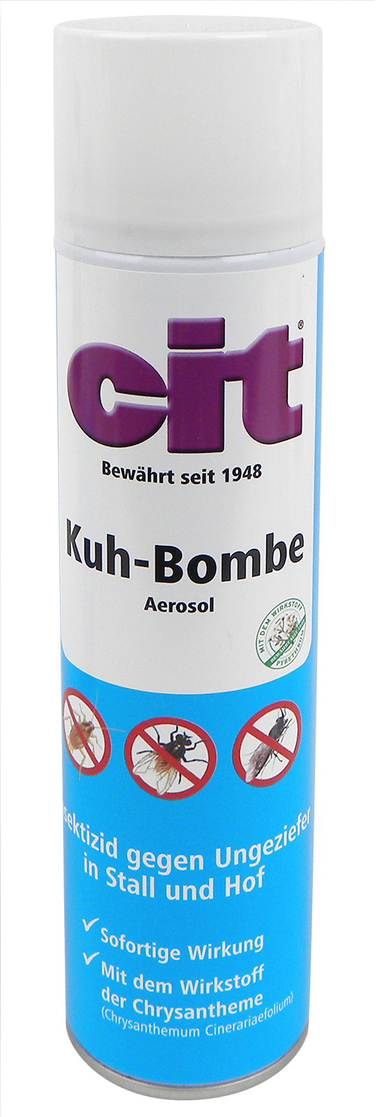Kuhbombe *