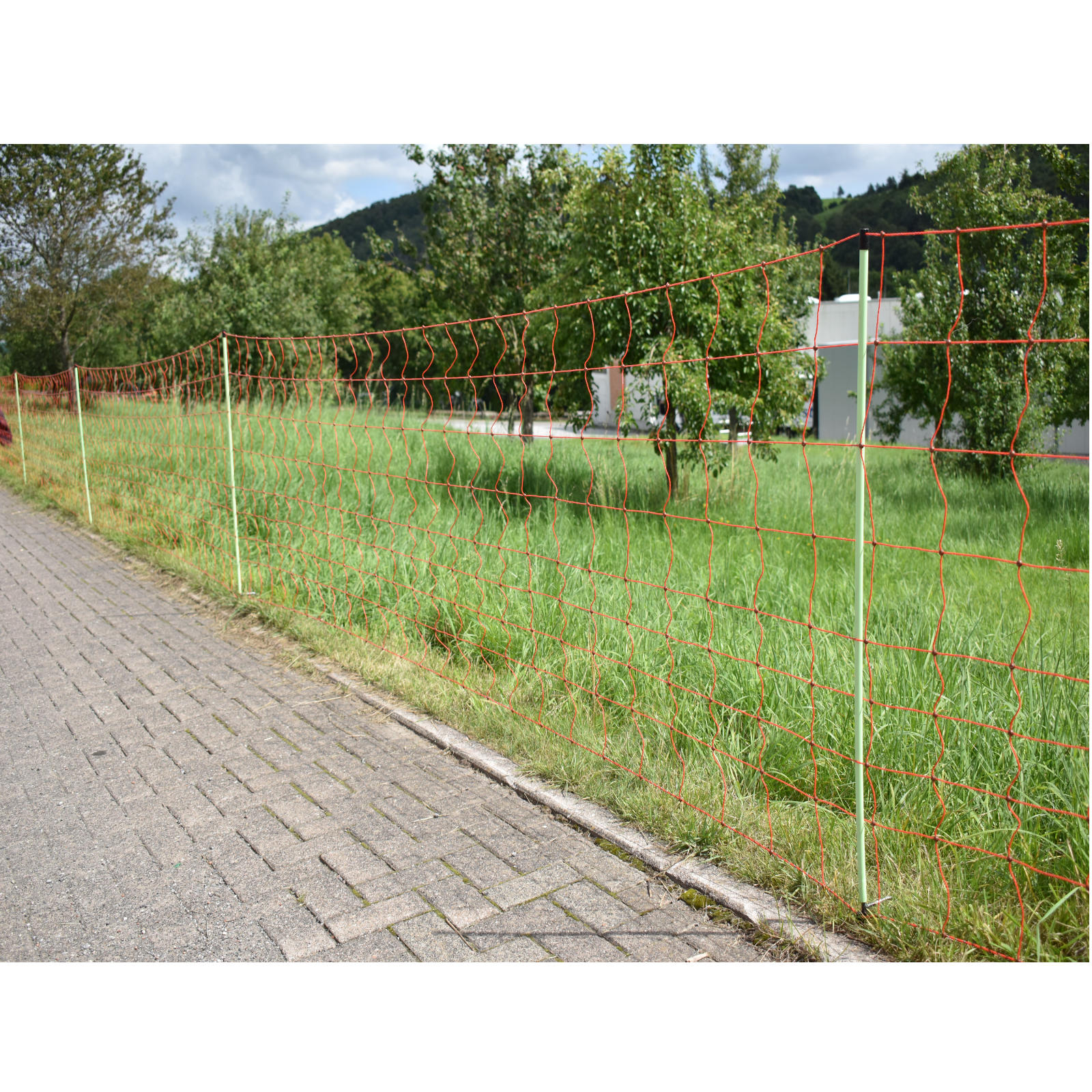 Sheep net EuroNet  DS orange 