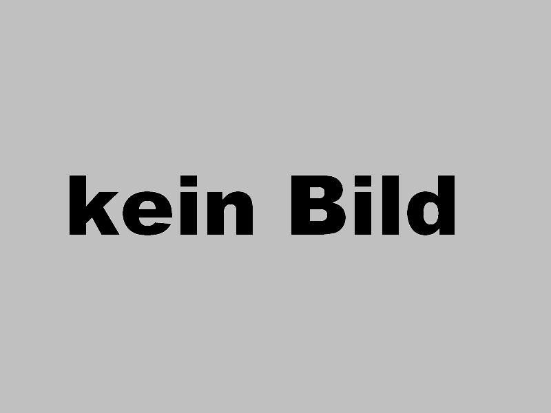 Kurbelwellendichtring hinten zu Steyr Motor WD306/307/308/406/407
