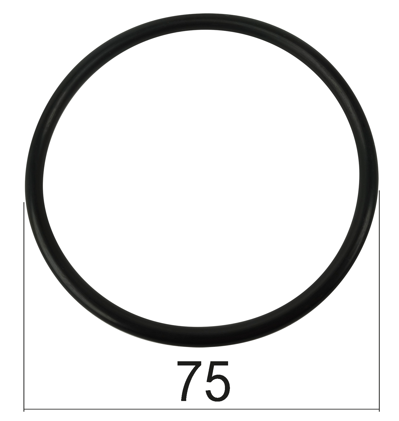 O-Ring für Deckel Hubwerk Steyr