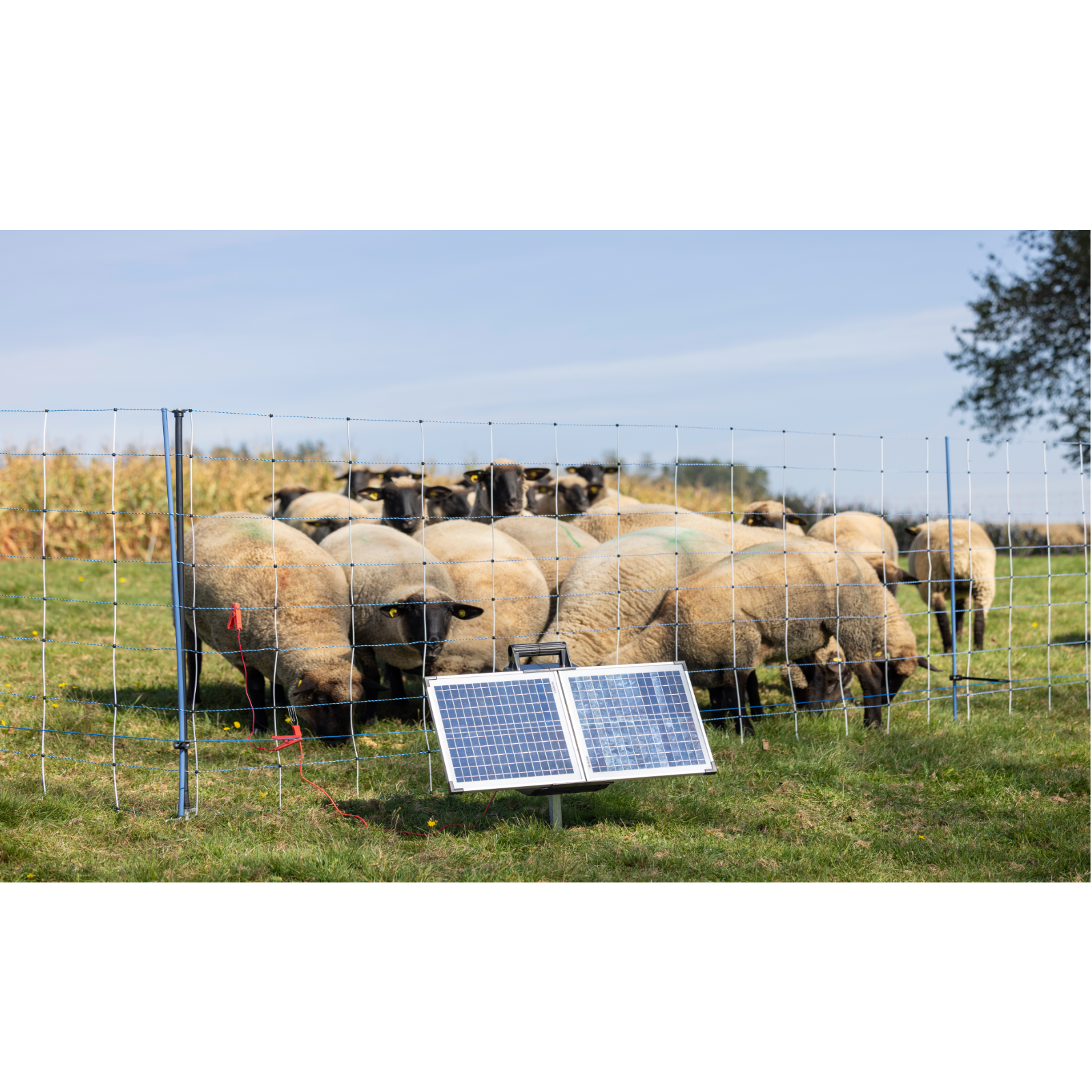 Weidezaungerät Solar SunPower S2400 Smart