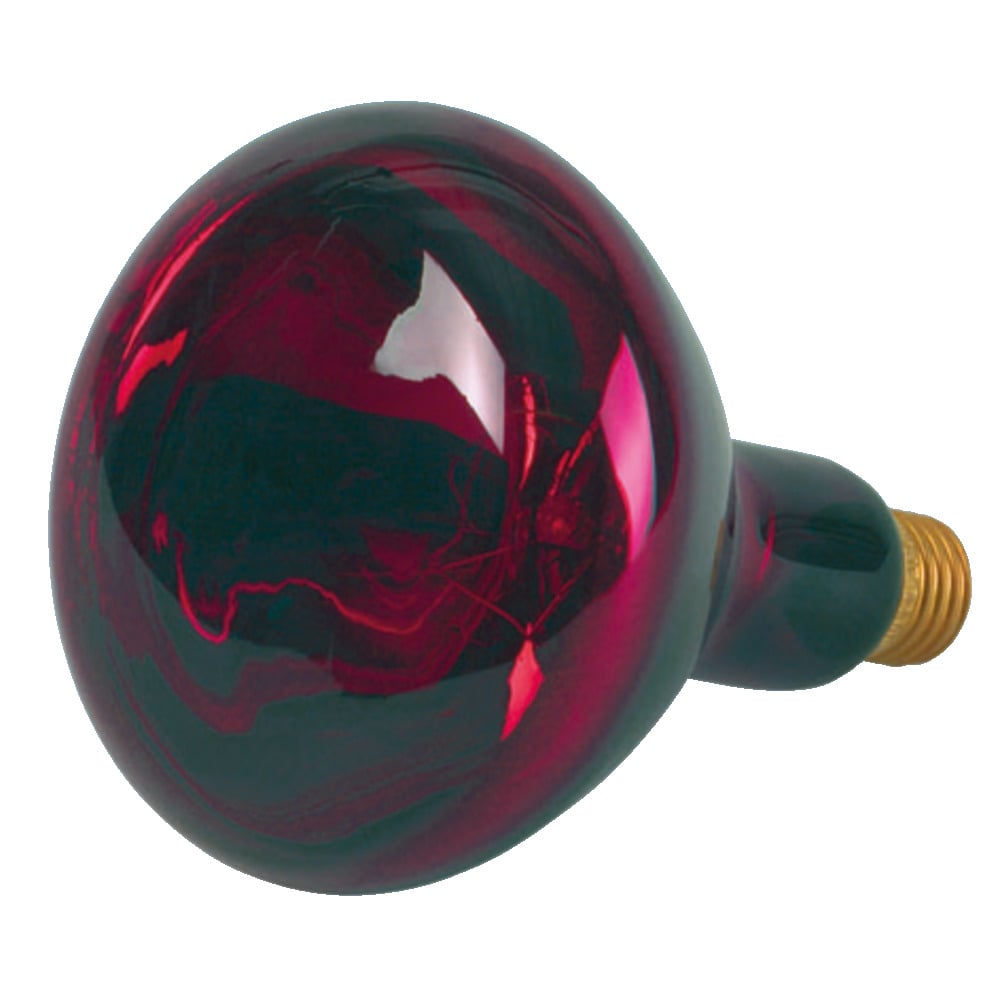 Infrared lamp