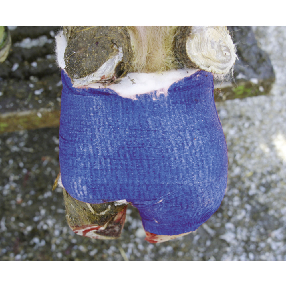 Klauenbandage VETlastic